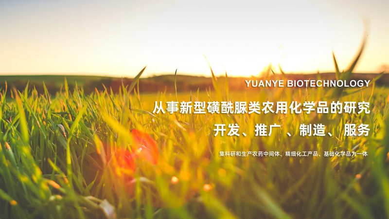 离心管与试管：实验室中的关键差异解析