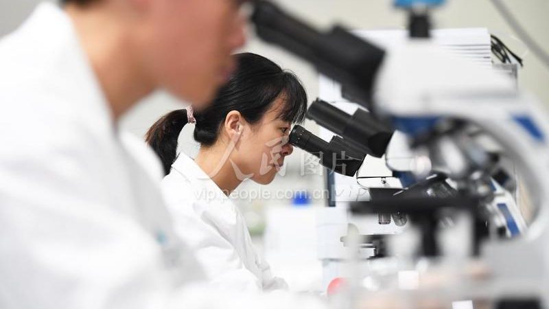 果蔬加工酶加盟代理：揭秘其背后的技术与应用
