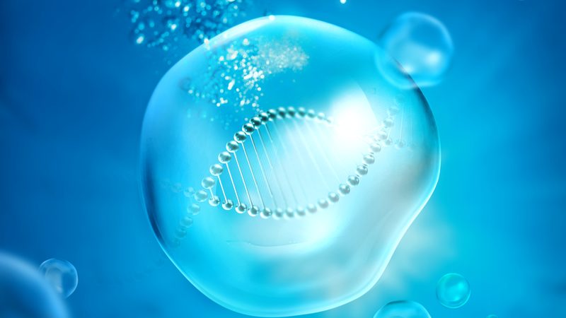 荧光定量PCR试剂盒：揭秘其背后的科学原理与选型要点**