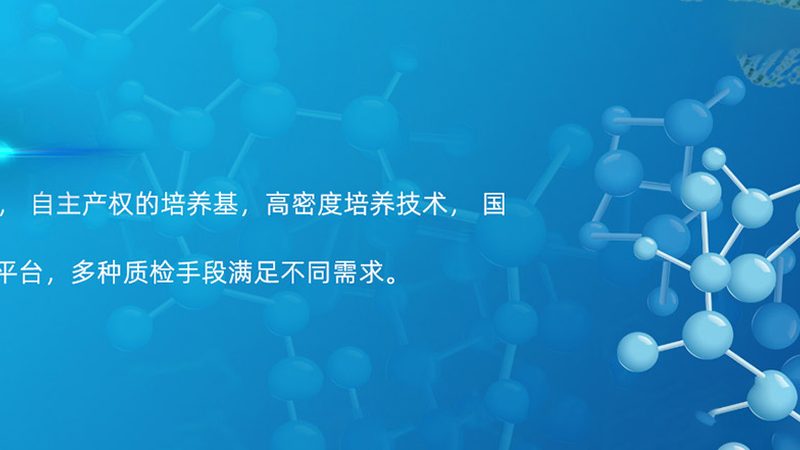 国产医疗试剂注册标准：合规之路的指南针**