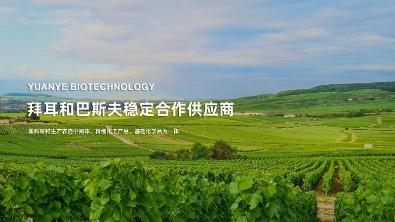 CDMO项目质量评估：从工艺验证到数据完整性的全链条逻辑
