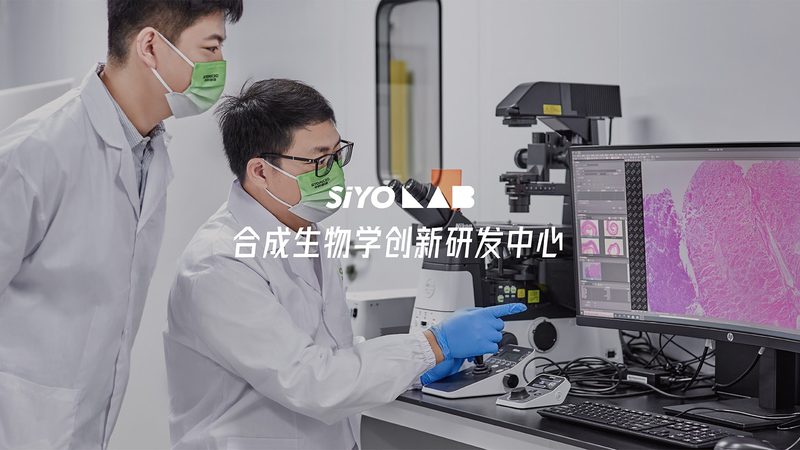 生物制品质量控制参数揭秘：关键指标与解读**