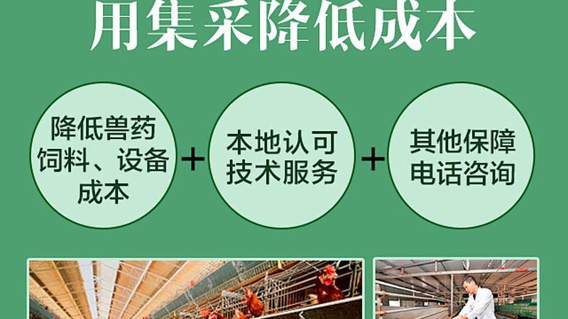 生物医药外包成本核算：如何科学评估与优化