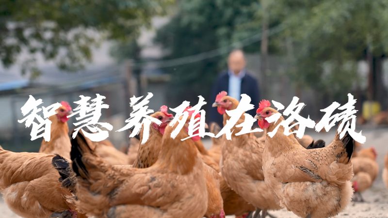 国产生化试剂：如何挑选高品质的科研伴侣**