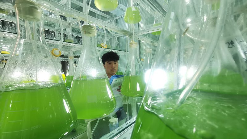 基因检测助力肿瘤靶向用药，如何选择优质服务？**